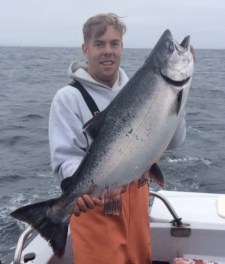 Fresh King Salmon