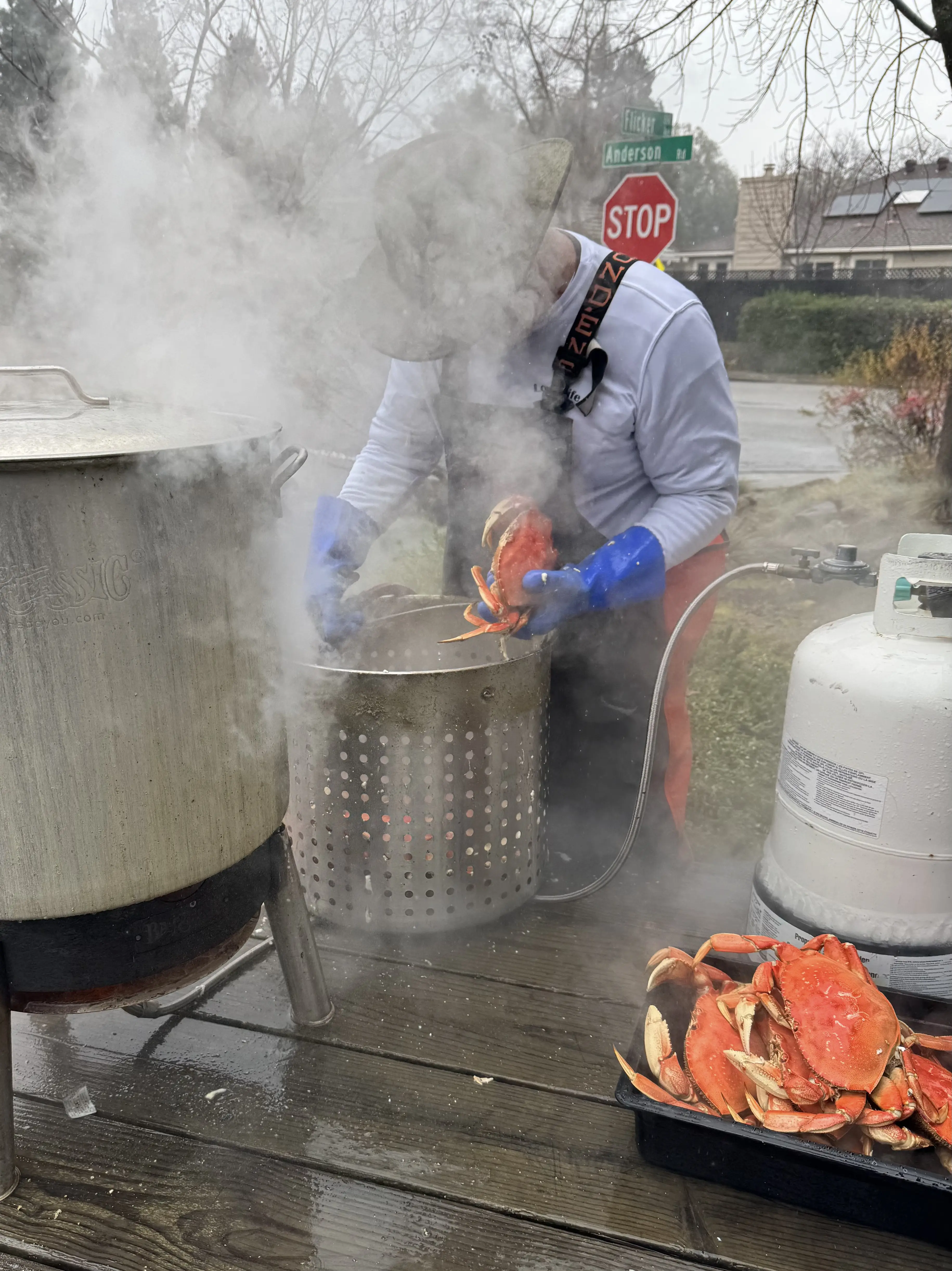 Steaming fresh Dungeness crab